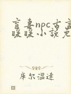 盲妻npc古言暖暖小说免费阅读
