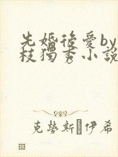 先婚后爱by一枝独秀小说在哪里看