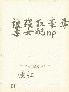 被强取豪夺的恶毒女配np封面