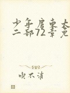 少年房东太太第二部72章免费阅读