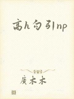 高h勾引np