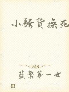 小骚货操死我了封面