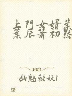 上门女婿叶辰 叶辰萧初然531封面