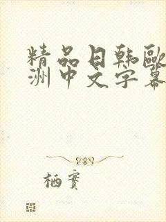 精品日韩欧美亚洲中文字幕封面