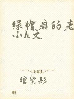 绿帽癖的老公,小h文