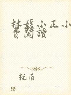 林媛小正小说免费阅读