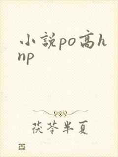 小说po高h np