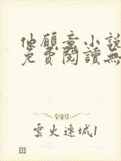 他愿意小说全文免费阅读无弹窗