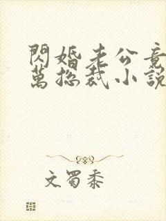 闪婚老公竟是亿万总裁小说