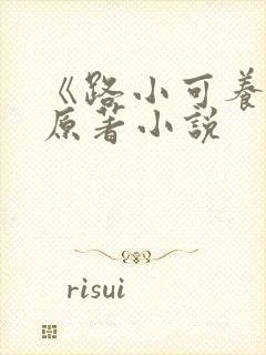 《路小可养父》原著小说