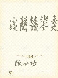 小说林洁秦齐在线阅读全文封面