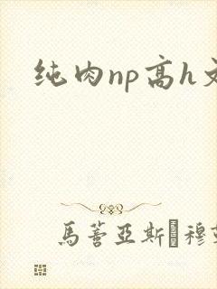 纯肉np高h文