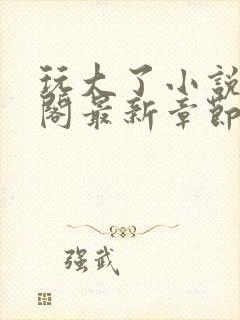 玩大了小说笔趣阁最新章节无弹窗