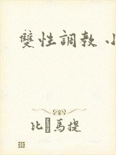 双性调教 小说
