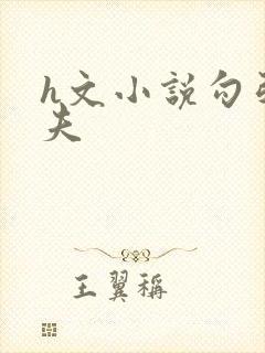 h文小说勾引姐夫