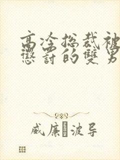 高冷总裁被下属惩罚的双男小说免费封面