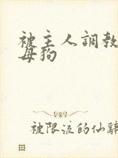 被主人调教成骚母狗封面