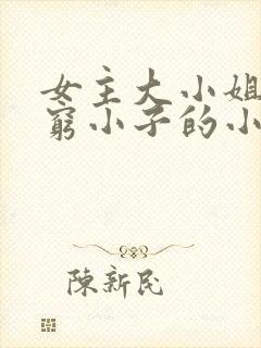 女主大小姐男主穷小子的小说封面