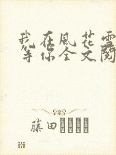 我在风花雪月里等你全文阅读全文