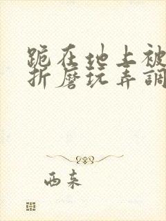 跪在地上被主人折磨玩弄调教