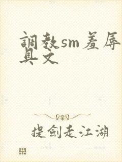 调教sm羞辱道具文封面