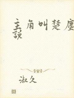 主角叫楚尘的小说