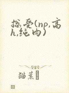 总受(np,高h,纯肉)