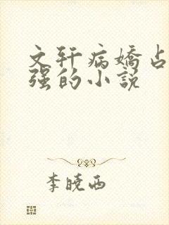 文轩病娇占有欲强的小说