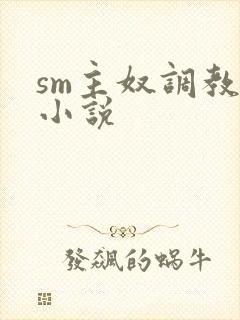 sm主奴调教文小说