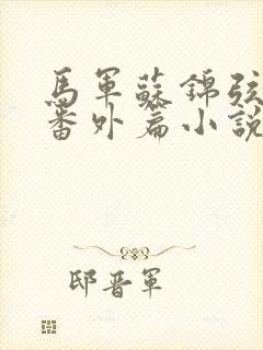 马军苏锦弦同人番外篇小说最新章节