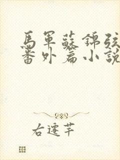 马军苏锦弦同人番外篇小说最新章节封面