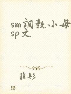 sm调教小母狗sp文