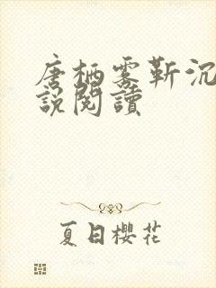 唐栖雾靳沉野小说阅读