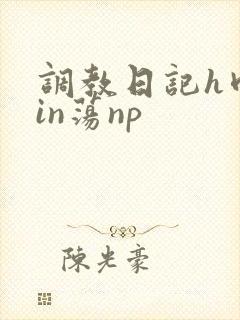调教日记h肉yin荡np