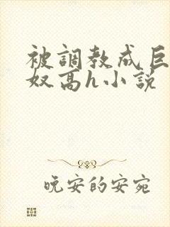 被调教成巨乳奶奴高h小说