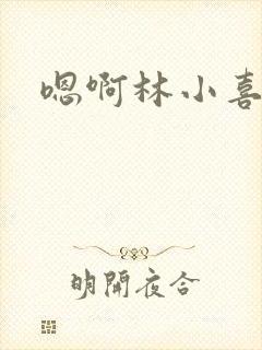 嗯啊林小喜封面