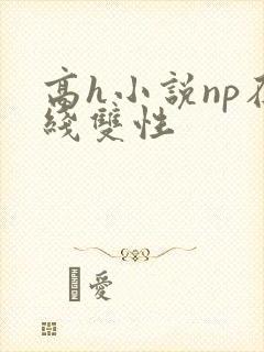 高h小说np在线双性