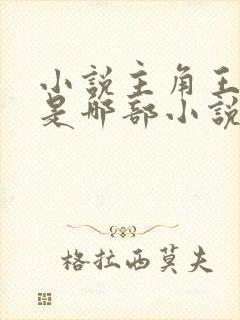 小说主角王斌 是哪部小说