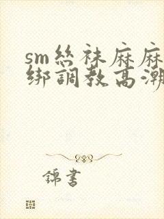 sm丝袜麻麻捆绑调教高潮