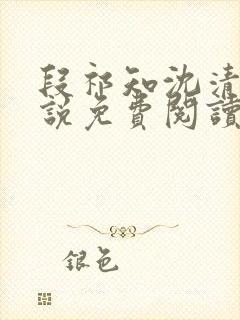 段祁知沈清鸢小说免费阅读最新章节