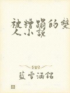 被糟蹋的双性美人小说封面