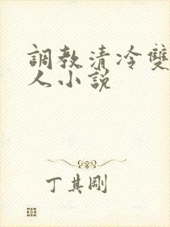 调教清冷双性美人小说封面