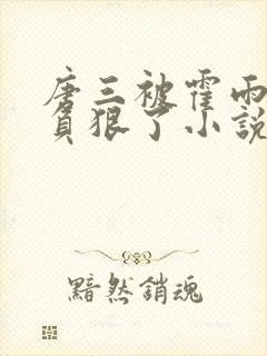 唐三被霍雨浩欺负狠了小说推荐