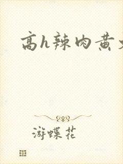 高h辣肉黄文