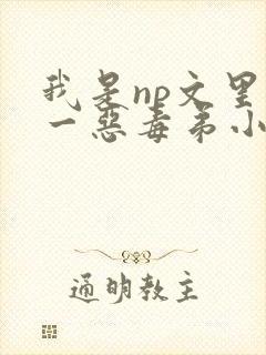 我是np文里攻一恶毒弟小说免费阅读