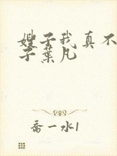 嫂子我真不是傻子叶凡