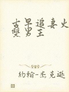 古早追妻火葬场双男主