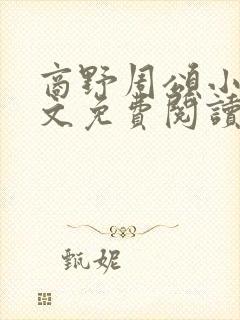 商野周颂小说全文免费阅读封面