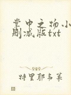 掌中之物小说未删减版txt