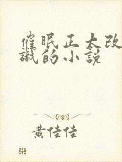 催眠正太改变常识的小说
